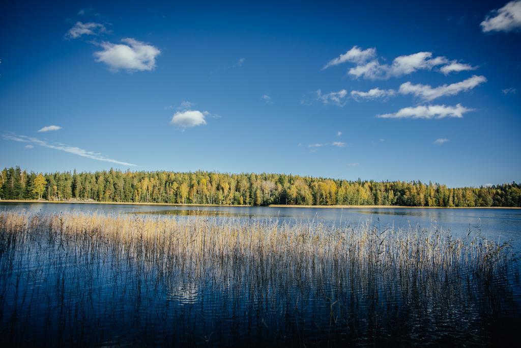 Sleepwell Villa Hartola By The Lake Kirkkola Exteriér fotografie